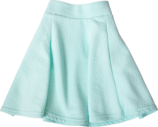 Menthol Skater Skirt