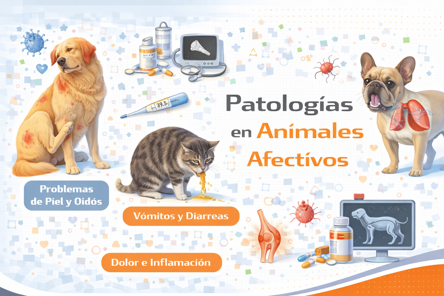 Patologias en Animales Afectivos